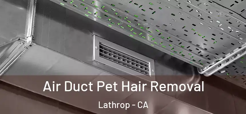  Air Duct Pet Hair Removal Lathrop - CA