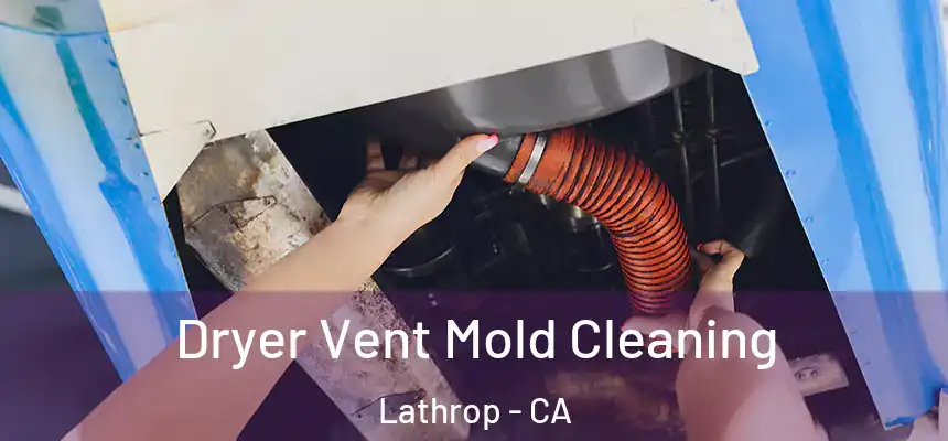  Dryer Vent Mold Cleaning Lathrop - CA