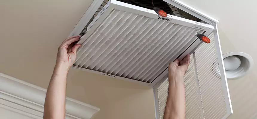 Preventive Cockroach-Proofing for Ducts in Lathrop