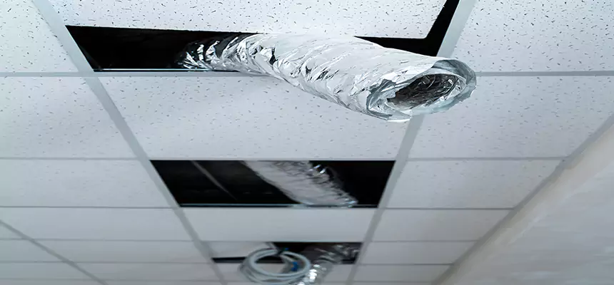 Our Air Duct Pet Hair Removal Services in Lathrop, CA