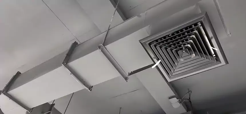 Our Pest Removal From Ducts Services in Lathrop, CA