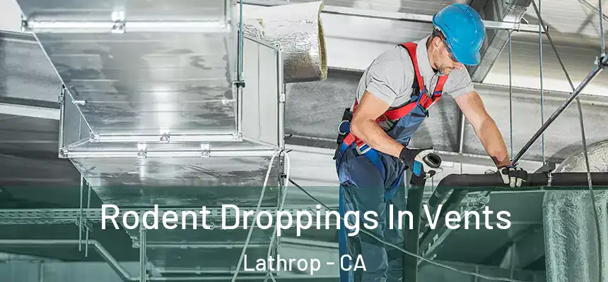  Rodent Droppings In Vents Lathrop - CA