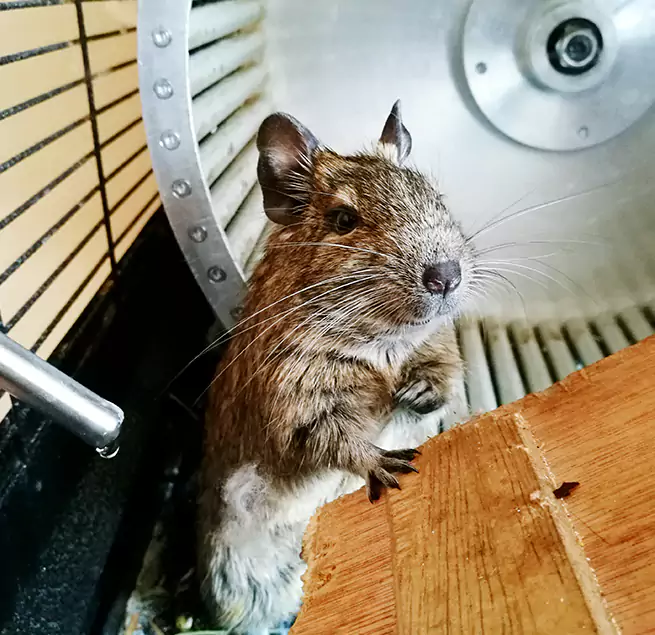 Why Homeowners & Businesses Trust Us Lathrop, CA?