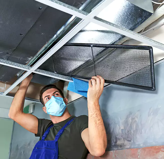 Why Homeowners Businesses Trust Us in Lathrop, CA